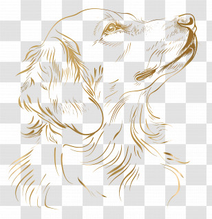Gold Dog - Golden Retriever Sketch Transparent PNG