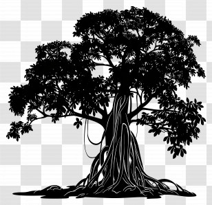 Banyan Tree - Silhouette Of Banyan Tree With Roots Transparent PNG