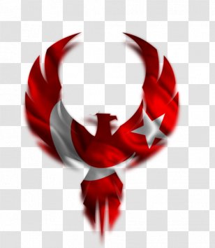 Flag Of Turkey T-shirt Turkish Security Hacker - Net Transparent PNG