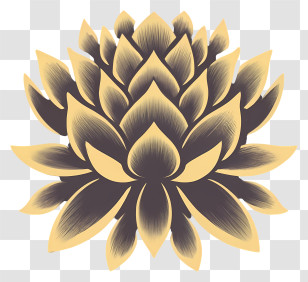 Golden Lotus Flower - Golden Lotus Flower Transparent PNG