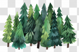 Pine Forest - Illustration Of Pine Trees Cluster Transparent PNG