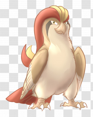 Pidgeot - Cartoon Bird With Colorful Feathers Transparent PNG