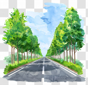 Highway - Watercolor Depiction Of A Tree-lined Road Transparent PNG