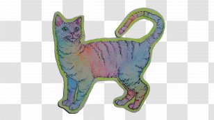 Psychedelia Sticker Photography - Small To Medium Sized Cats - Tumblr Transparent PNG