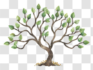 Cartoon - Tree With Green Leaves Illustration Transparent PNG