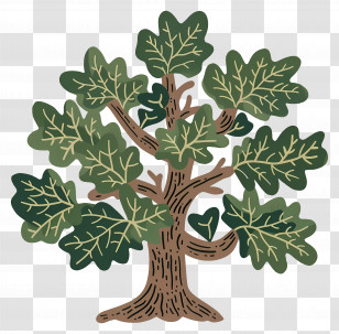 Oak Tree - Cartoon Green Tree With Lush Leaves Transparent PNG