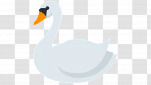 Swan - Graceful Swan Illustration Transparent PNG