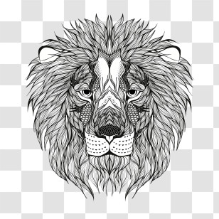 Lion Logo - Detailed Sketched Lion Head Illustration Transparent PNG