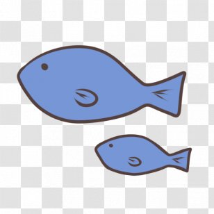Fish Telescope Illustration Shark Oryzias - Animal - Amur Catfish Transparent PNG