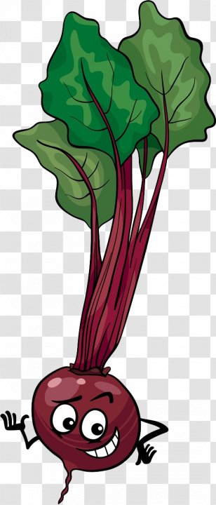 Beetroot Stock Illustration Cartoon - Asparagus - Hand-drawn Beet Transparent PNG
