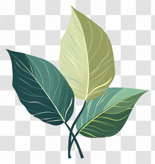 Simple Leaf Clipart - Green Leaves Illustration Transparent PNG