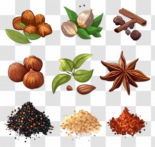 Variety Of Spices - Collection Of Aromatic Spices And Herbs Transparent PNG
