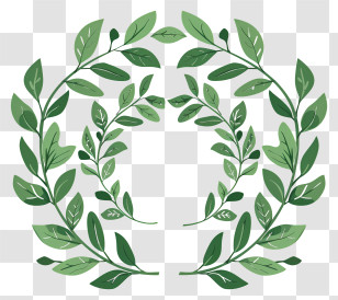 Laurel Wreath - Green Leafy Wreath Illustration Transparent PNG