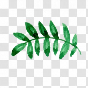 Watercolor Painting Leaf - Tree - Hand-painted Oil Leaves Transparent PNG