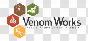 Characteristics Of Common Wasps And Bees Venom Pet - Scorpion - Bee Transparent PNG