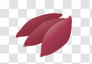 Fruit Illustration Sweet Potatoes Food Vegetable - Strawberry Transparent PNG
