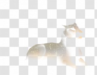 Whiskers Lion Mammal Cat Agility - Mottled Ink Transparent PNG