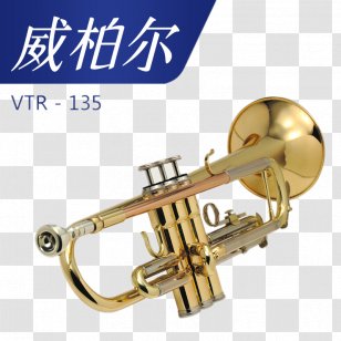 Trumpet Alto Saxophone Musical Instrument Tenor - Flower - Golden Transparent PNG