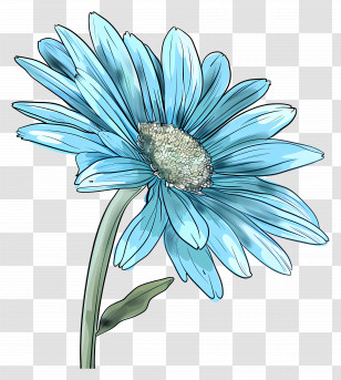 Blue Gerbera - Bright Blue Flower Illustration Transparent PNG