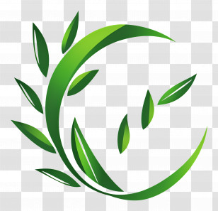 Bamboo - Eco-Friendly Green Leaves Design Transparent PNG