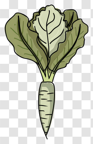 Cartoon - Cartoon Radish With Fresh Green Leaves Transparent PNG
