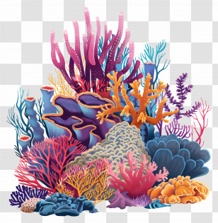 Coral Reefs - Vibrant Coral Reef Illustration Transparent PNG