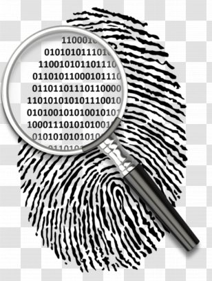 Automated Fingerprint Identification Clip Art Biometrics Fingerabdruckscanner - Aadhaar - Proceso Transparent PNG
