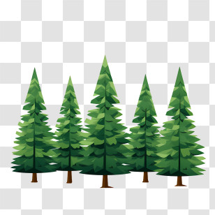 Christmas Tree - Green Pine Trees Illustration Transparent PNG