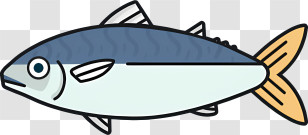 Icon - Fish Illustration With Blue And Orange Coloring Transparent PNG