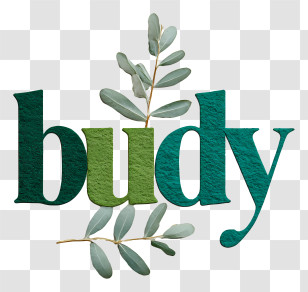 Budy - Budy Leaf Logo Transparent PNG
