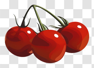 Cherry Tomato - Red Cherry Tomatoes Illustration Transparent PNG