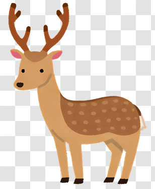 Animal - Cartoon Deer Illustration With Gentle Antlers Transparent PNG
