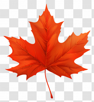 Maple Leaf - Vivid Red Maple Leaf Design Transparent PNG