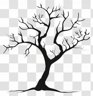 Simple Black Tree - Leafless Black Tree Silhouette Transparent PNG