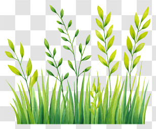 Watercolor Grass Background - Green Grass And Leaves Transparent PNG