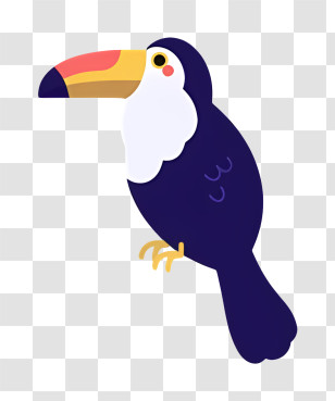 Bird Parrot - Toucan Illustration With A Colorful Beak Transparent PNG