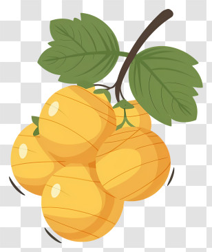 Cartoon Grapes - Cluster Of Yellow Fruits With Leaves Transparent PNG
