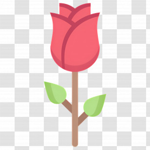 Rose Flower - Red Rose Flower Illustration Transparent PNG