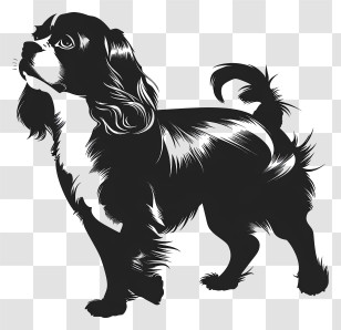Dog Silhouette - Cavalier King Charles Spaniel Silhouette Design Transparent PNG