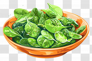 Green Salad - Fresh Bowl Of Spinach Leaves Transparent PNG