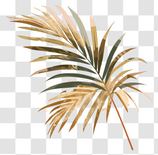 Palm Branches - Golden Tropical Leaf Illustration Transparent PNG