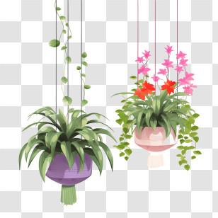 Hanging Plant With Pot - Hanging Potted Plants With Flowers For Home Decor Transparent PNG