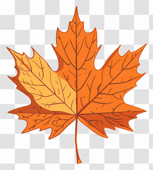 Maple Leaf - Autumn Orange Maple Leaf Illustration Transparent PNG