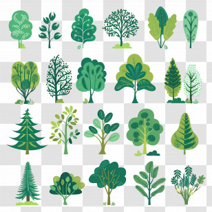 Tree Minimalist - Collection Of Cartoon Green Trees Transparent PNG