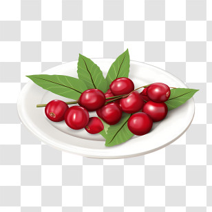 Red Cranberries - Fresh Red Cherries With Green Leaves On White Plate Transparent PNG