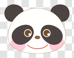 Panda Bear - Cute Panda Face Cartoon Illustration Transparent PNG