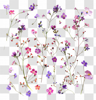 Flower Background - Decorative Floral Small Flowers Illustration Transparent PNG
