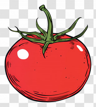 Tomato - Red Tomato Illustration Transparent PNG