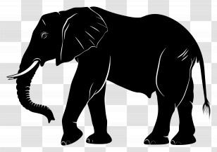 Elephant Silhouette - Black Elephant Silhouette Illustration Transparent PNG