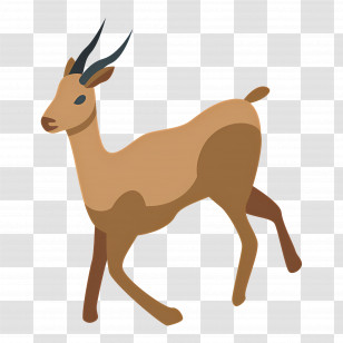 Gazelle - Antelope Illustrative Wildlife Art Transparent PNG